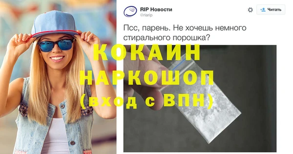 гашик Бородино