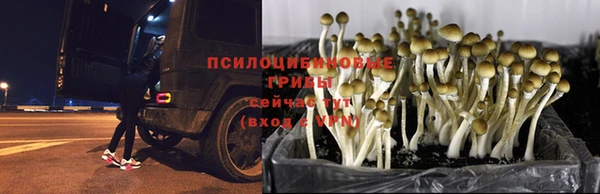 2c-b Бронницы