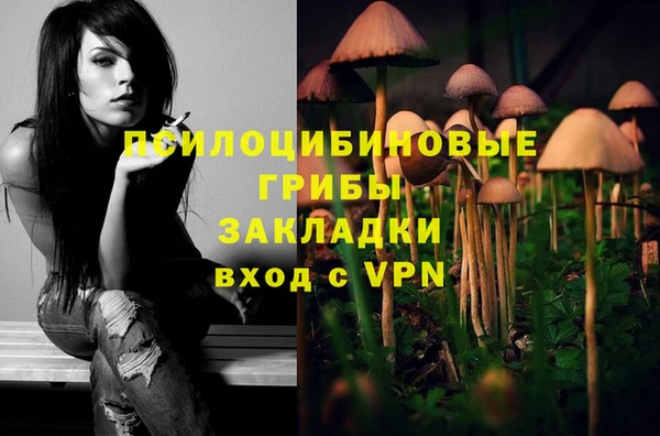 гашик Бородино
