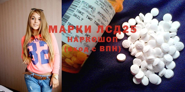 гашик Бородино