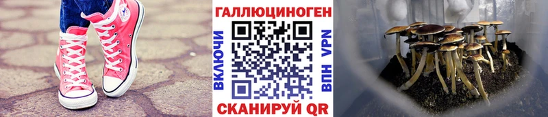 даркнет сайт  Дудинка  Галлюциногенные грибы ЛСД 